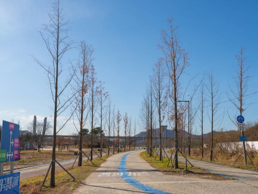 세종 합강캠핑장 사진 13