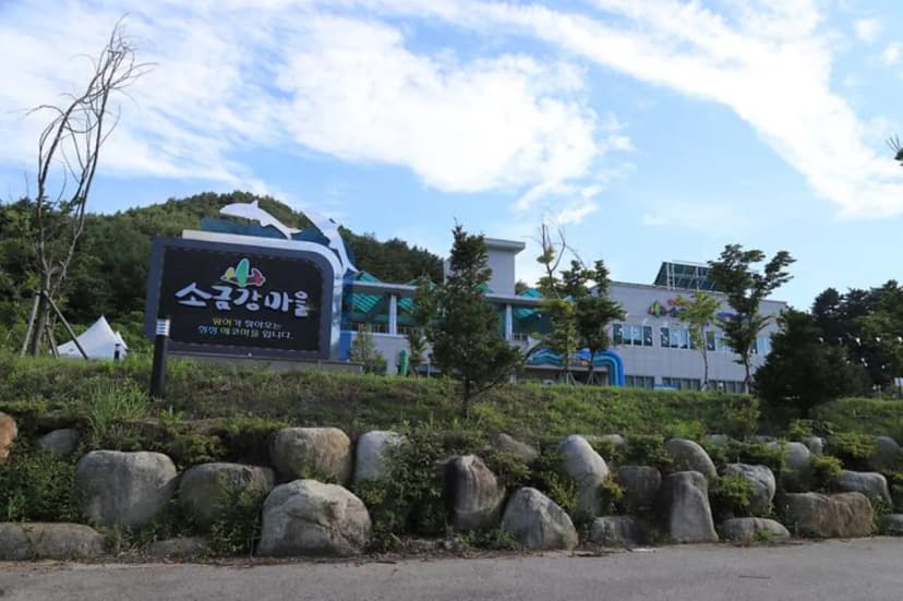 소금강마을에코센터 오토캠핑장 사진 3