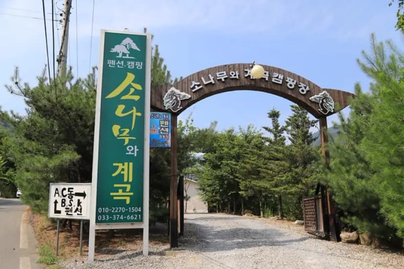 소나무와 계곡 캠핑장