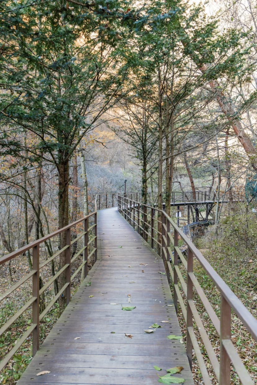소백산국립공원 남천야영장 사진 4