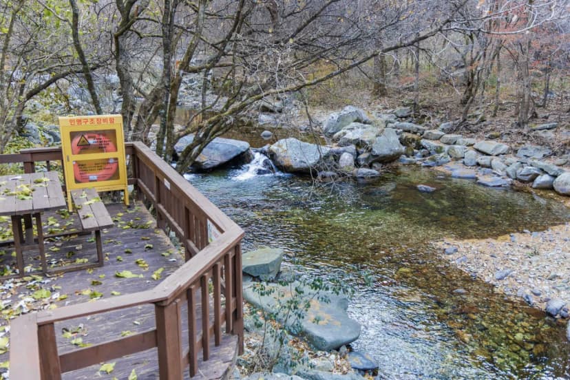 소백산국립공원 남천야영장 사진 5
