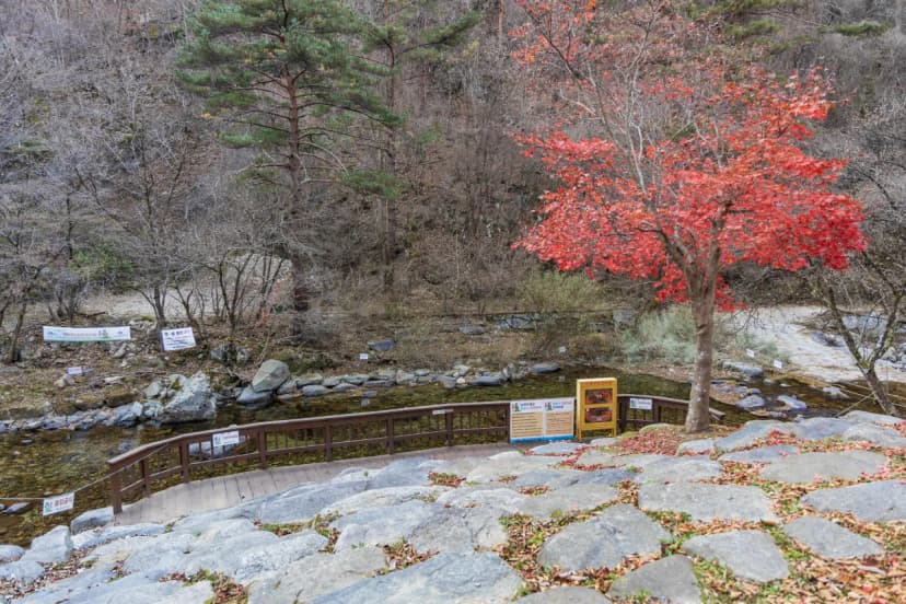 소백산국립공원 남천야영장 사진 6