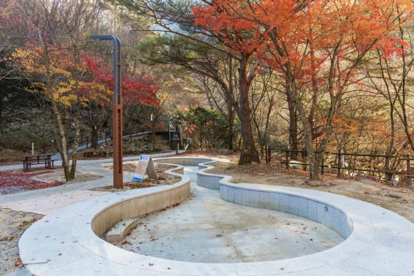 소백산국립공원 남천야영장 사진 7