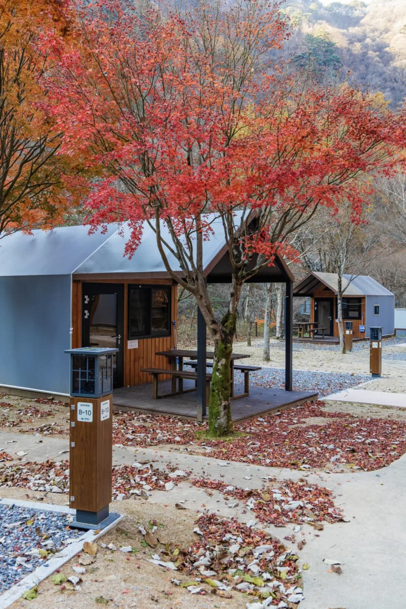 소백산국립공원 남천야영장 사진 16