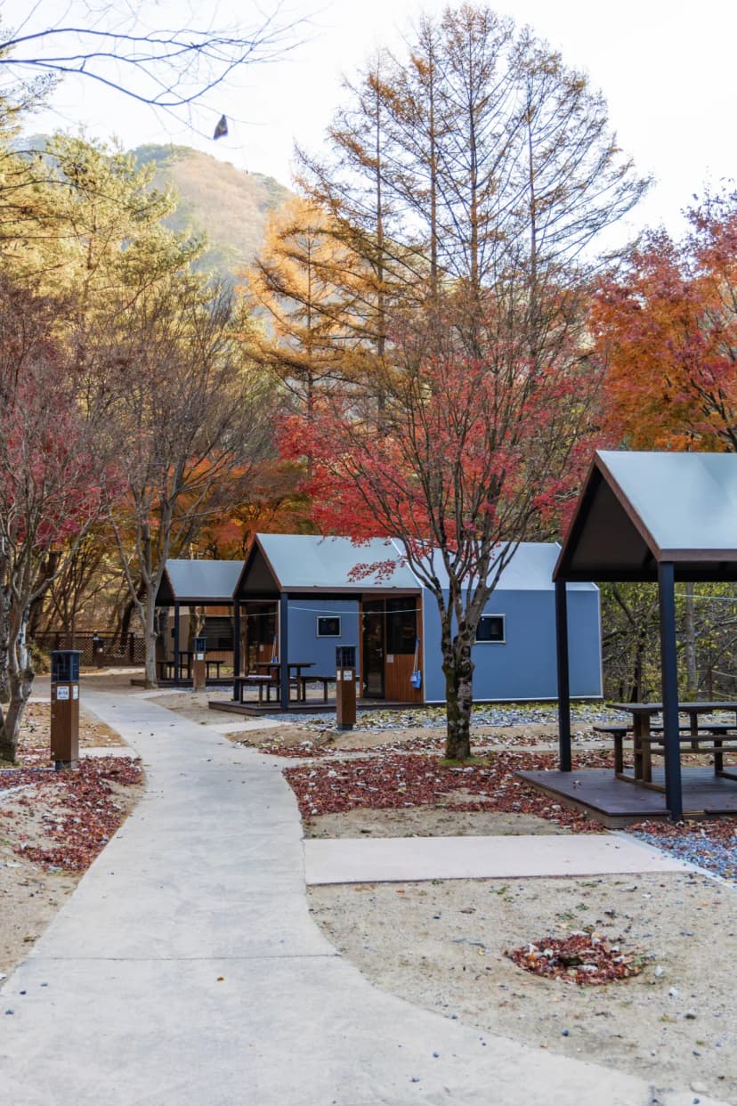 소백산국립공원 남천야영장 사진 17