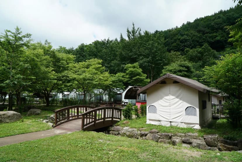 소백산국립공원 삼가야영장 사진 10