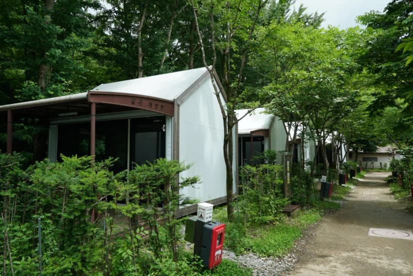 소백산국립공원 삼가야영장 사진 14