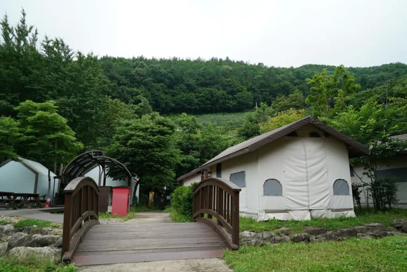 소백산국립공원 삼가야영장 사진 20