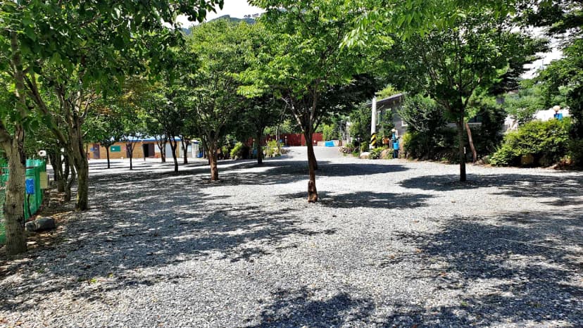 소백산오토캠핑장 사진 6