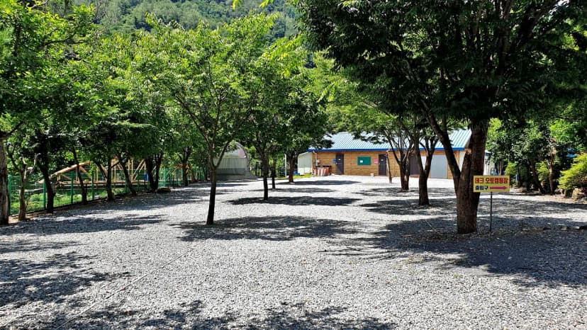 소백산오토캠핑장 사진 9