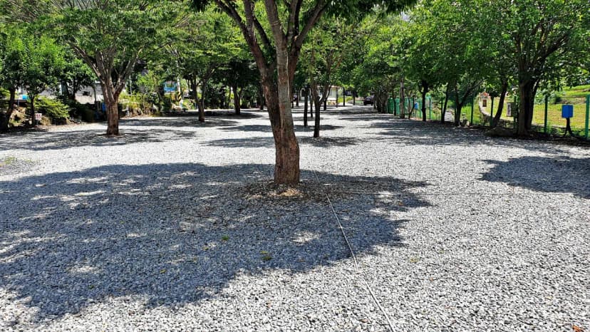소백산오토캠핑장 사진 17