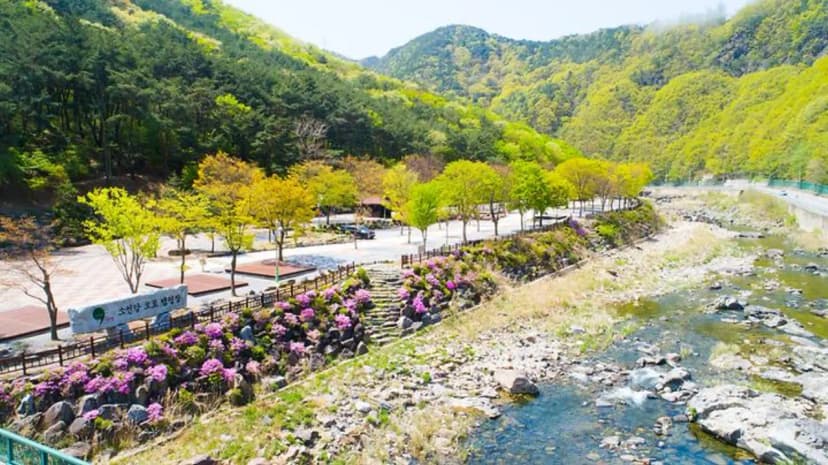 소선암 오토캠핑장 사진 2