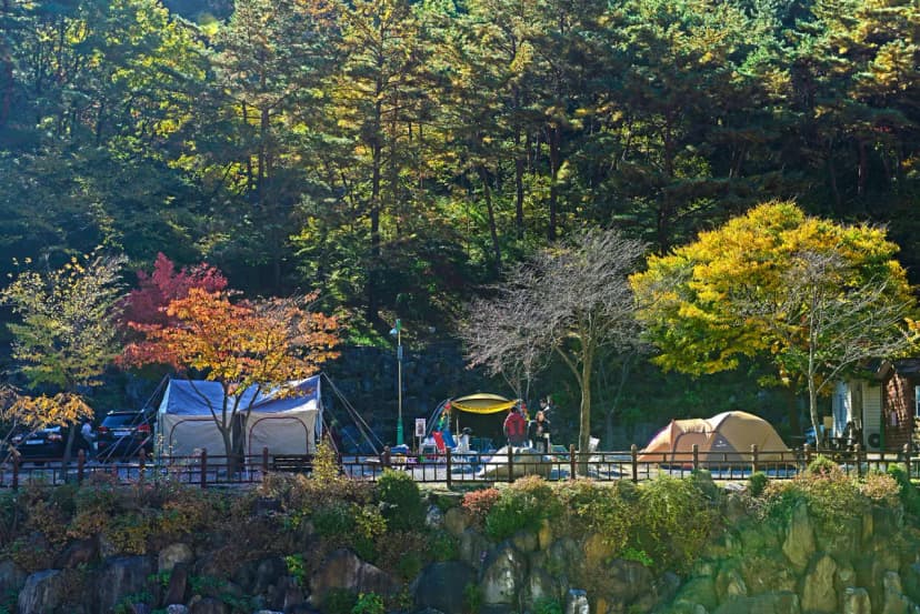 소선암 오토캠핑장 사진 6
