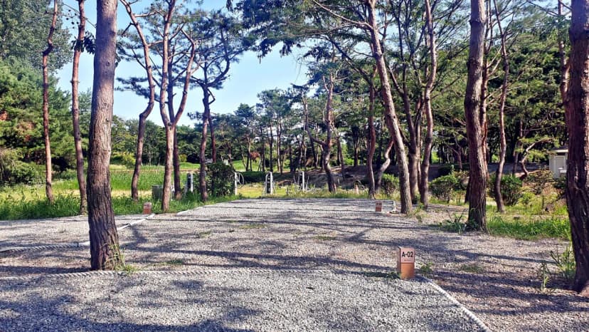 소풍정원 캠핑장 사진 10