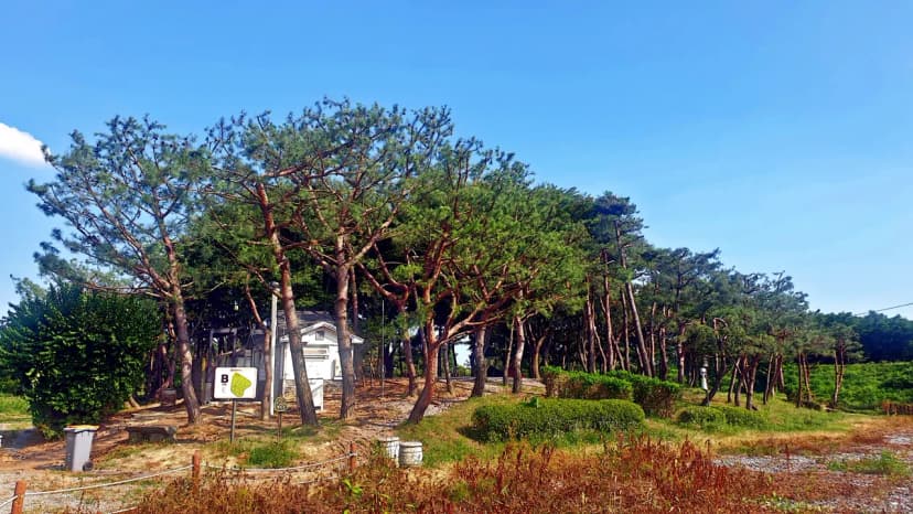 소풍정원 캠핑장 사진 12