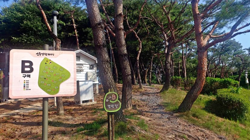 소풍정원 캠핑장 사진 13