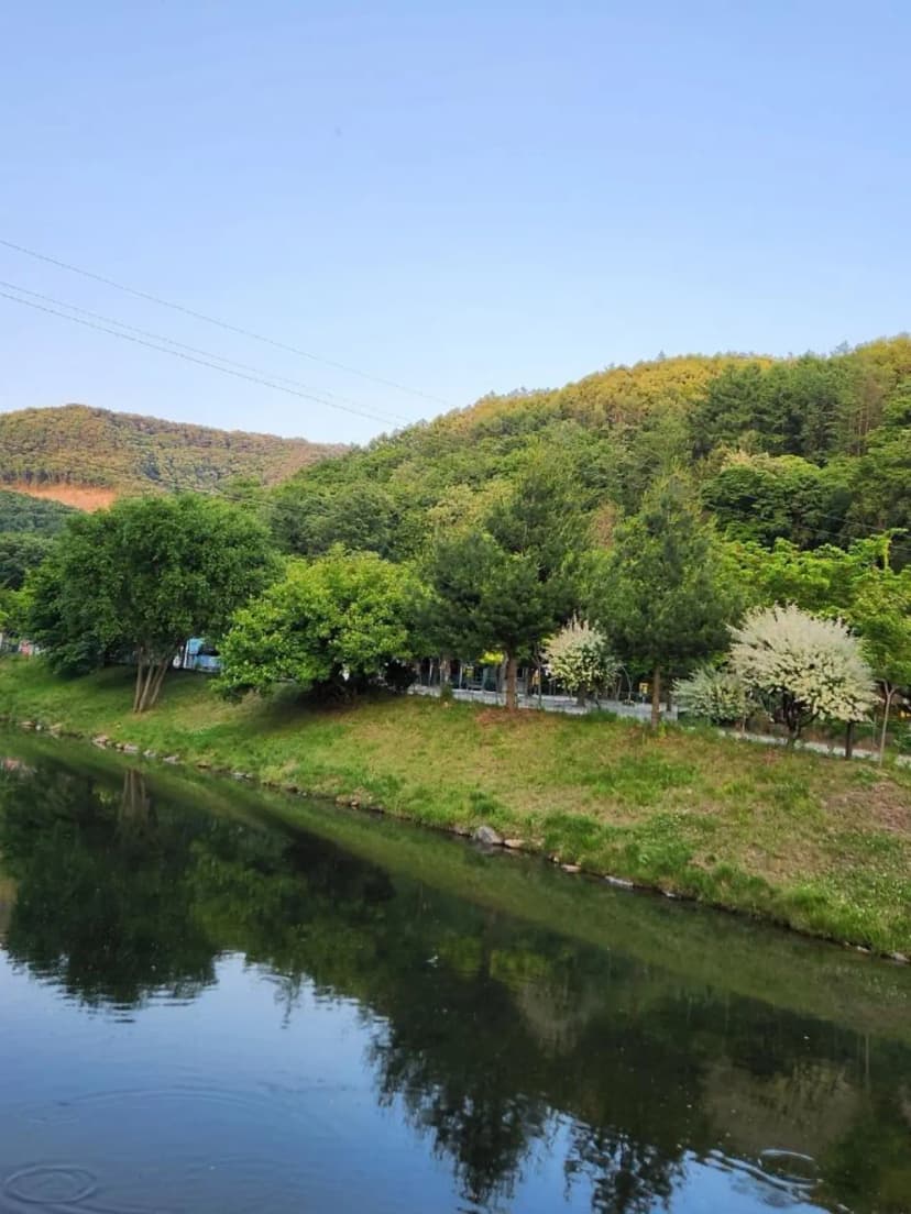속리산알프스캠핑장&펜션 사진 3