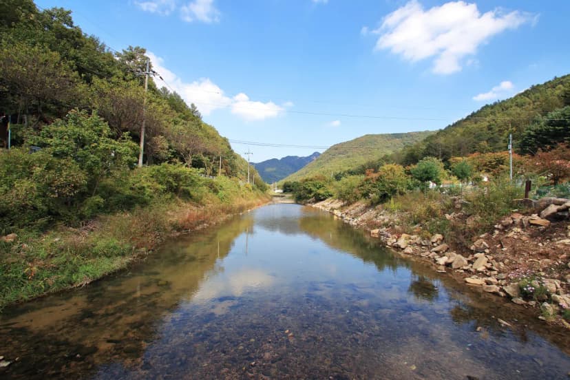 속리산알프스캠핑장&펜션 사진 8