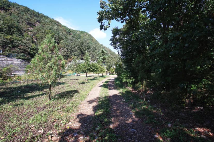 속리산알프스캠핑장&펜션 사진 10