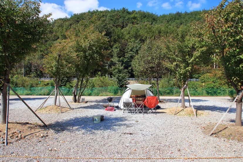 속리산알프스캠핑장&펜션 사진 14