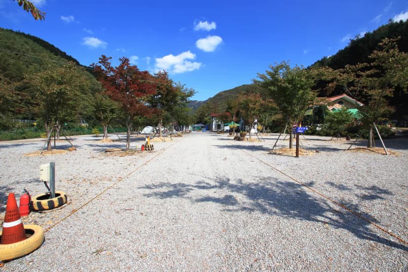 속리산알프스캠핑장&펜션 사진 16