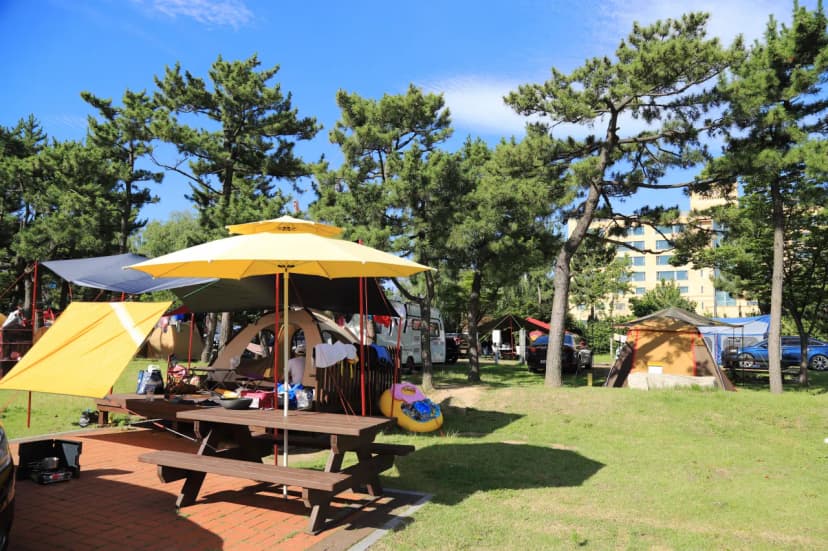 속초해변 국민여가 캠핑장 사진 11