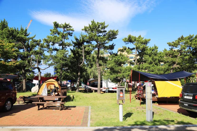 속초해변 국민여가 캠핑장 사진 13