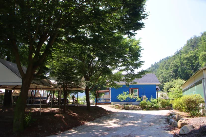 솔밭체육공원오토캠핑장 사진 12