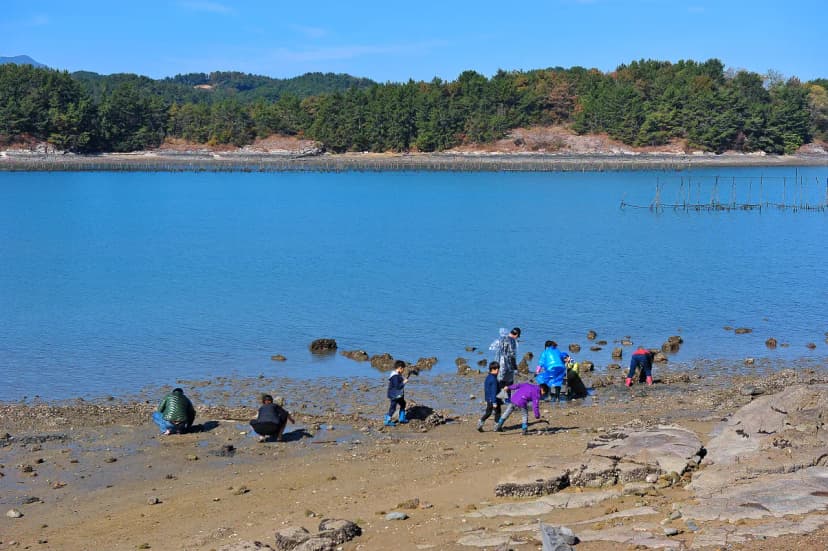 사천비토솔섬오토캠핑장 사진 9