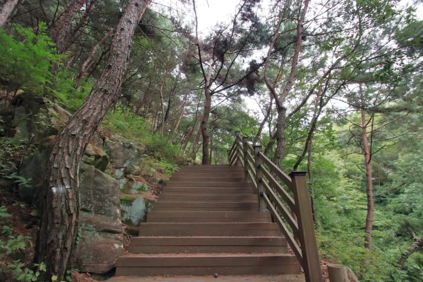 송정 자연휴양림 사진 12