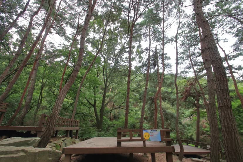 송정 자연휴양림 사진 19