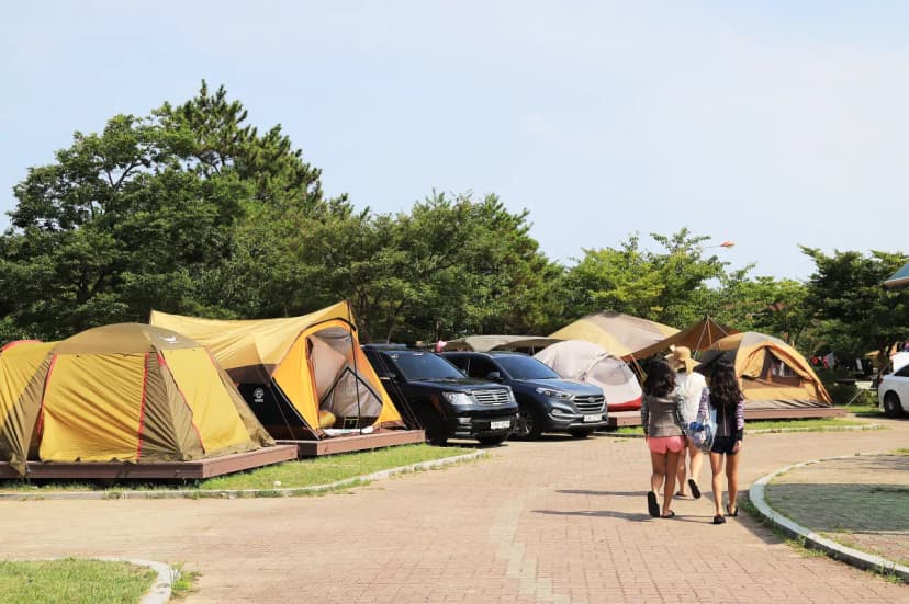 송지호 오토 캠핑장 사진 7