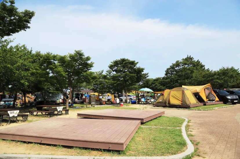 송지호 오토 캠핑장 사진 8