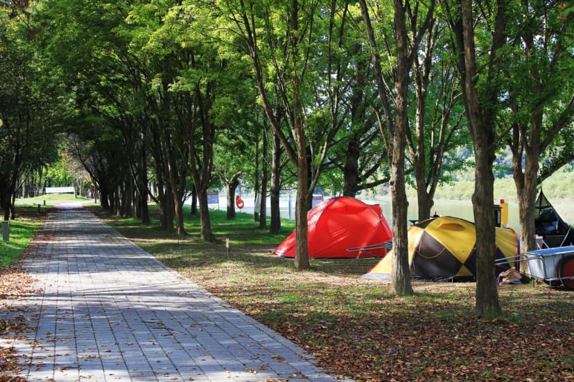 송호국민관광지 야영장 사진 14