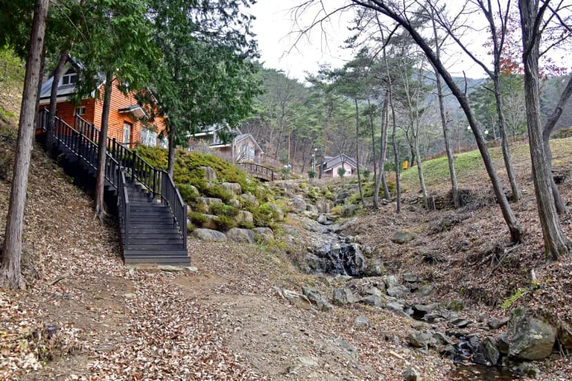 순천국민여가캠핑장 사진 12