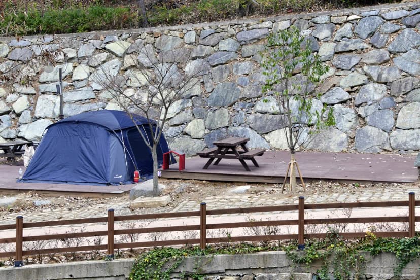 순천국민여가캠핑장 사진 13