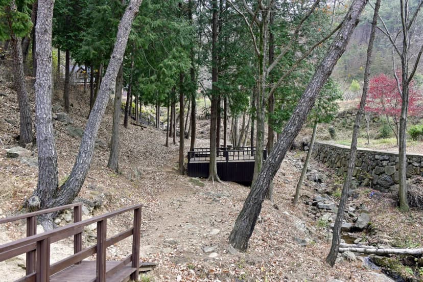 순천국민여가캠핑장 사진 14