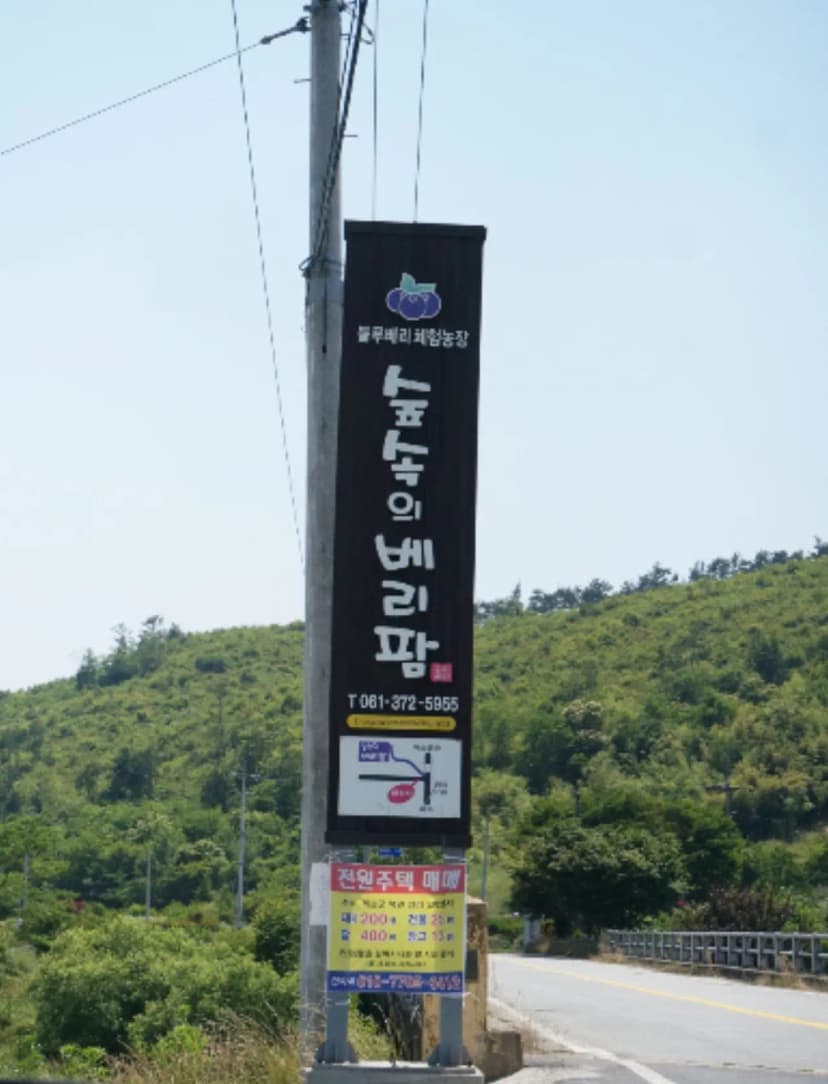 숲속의베리팜 사진 4