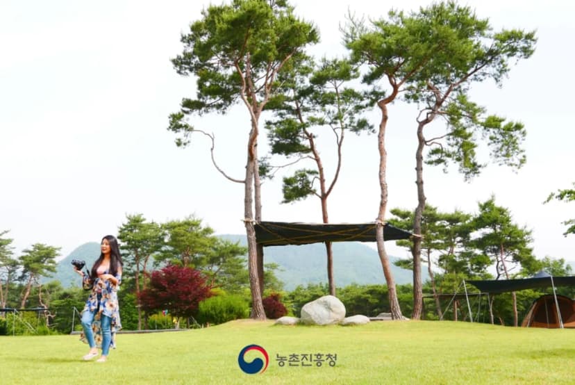 숲속의베리팜 사진 8