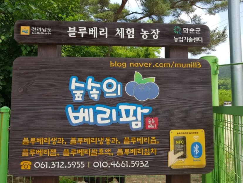 숲속의베리팜 사진 18