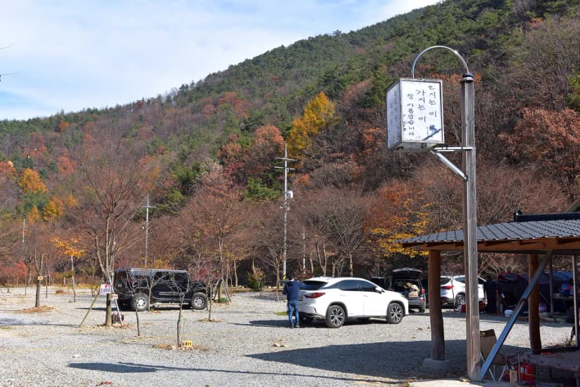 숲이조아캠핑장 사진 3