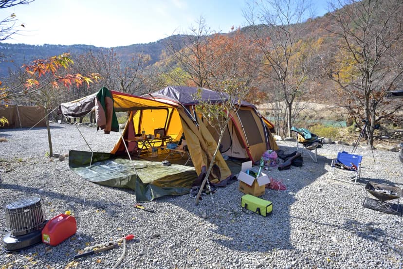 숲이조아캠핑장 사진 6