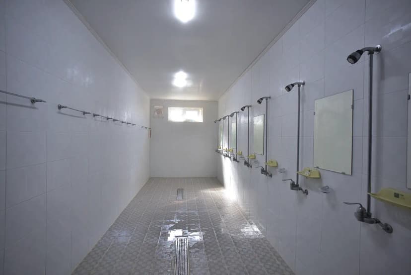 숲이조아캠핑장 사진 7