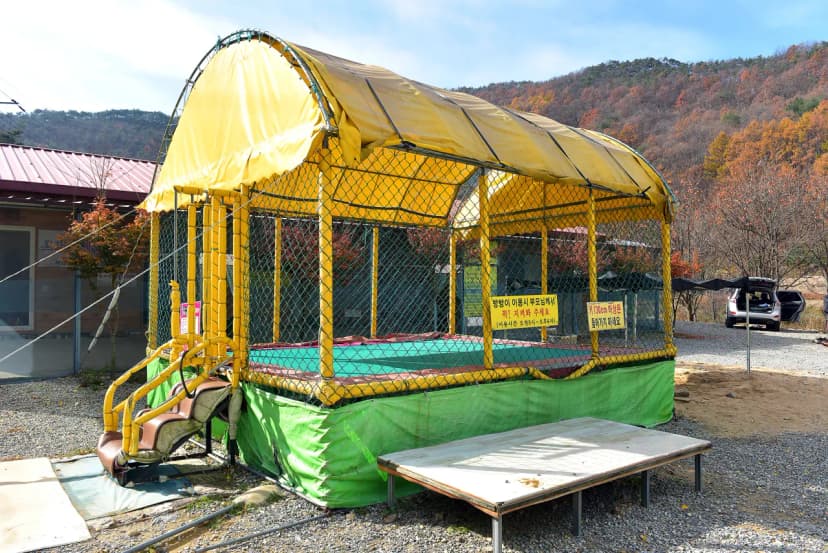 숲이조아캠핑장 사진 10