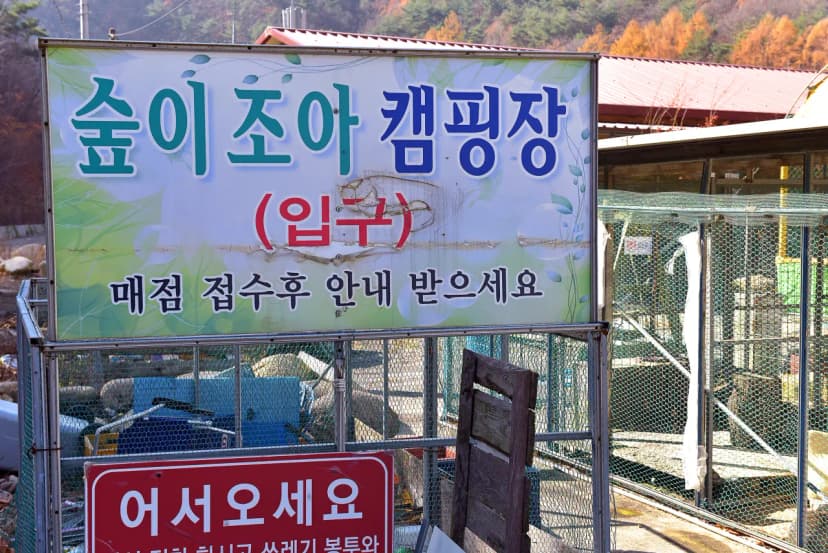 숲이조아캠핑장 사진 12