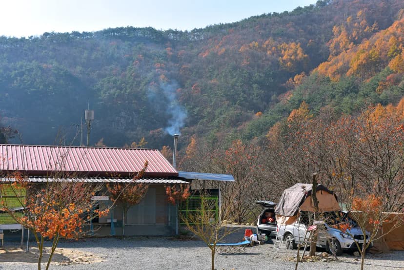 숲이조아캠핑장 사진 18