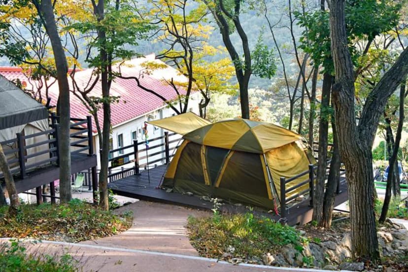 (주)신어산 자연숲캠핑장 사진 2