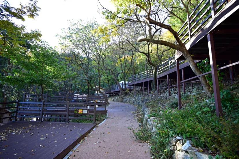 (주)신어산 자연숲캠핑장 사진 4