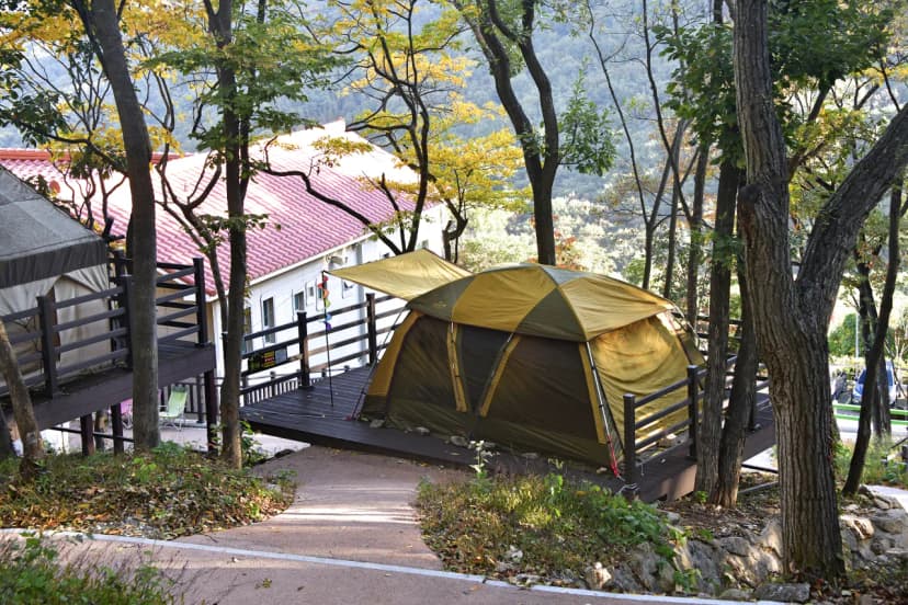 (주)신어산 자연숲캠핑장 사진 14