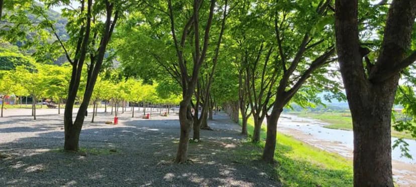 써니밸리오토캠핑장 사진 2